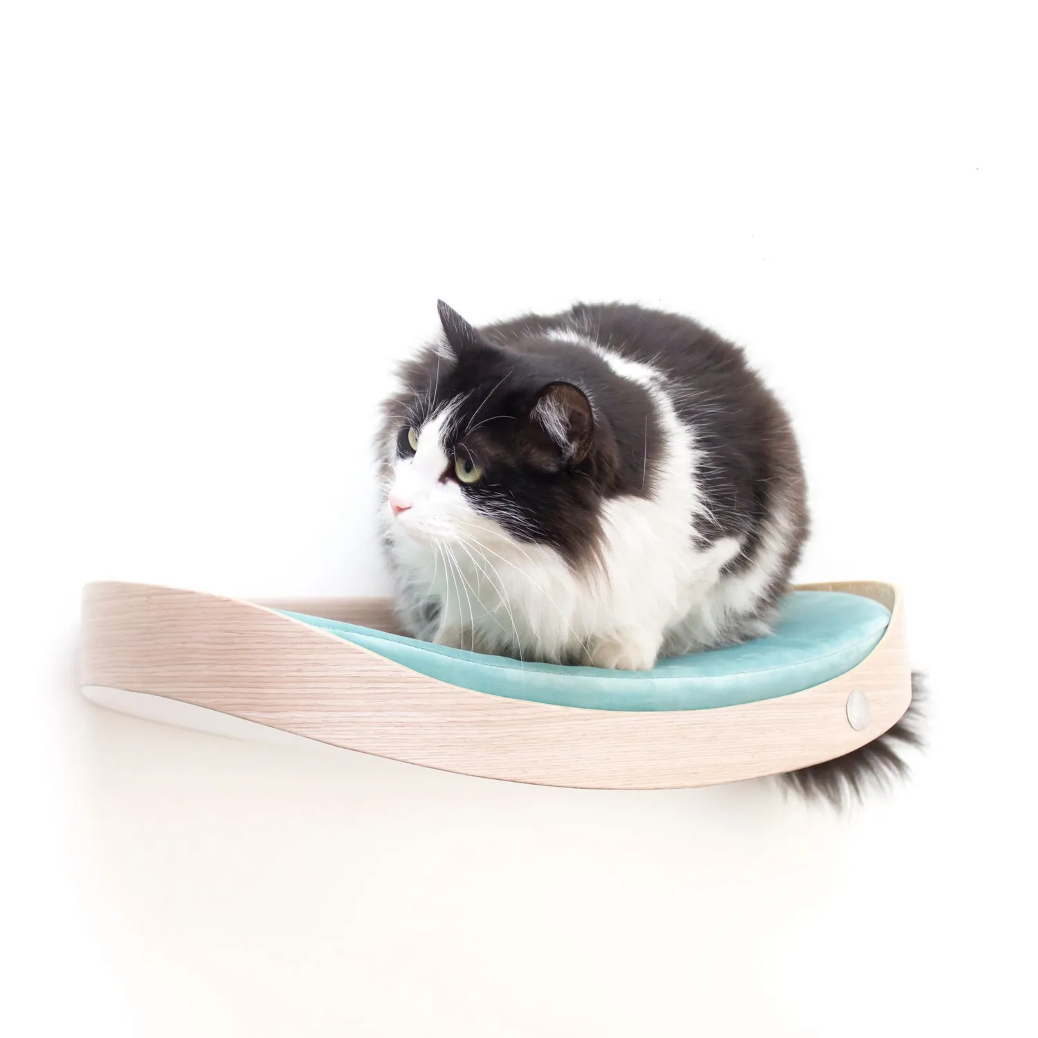 Repisa Flotante Para Gatos 50X32X13Cm Mediano Gris