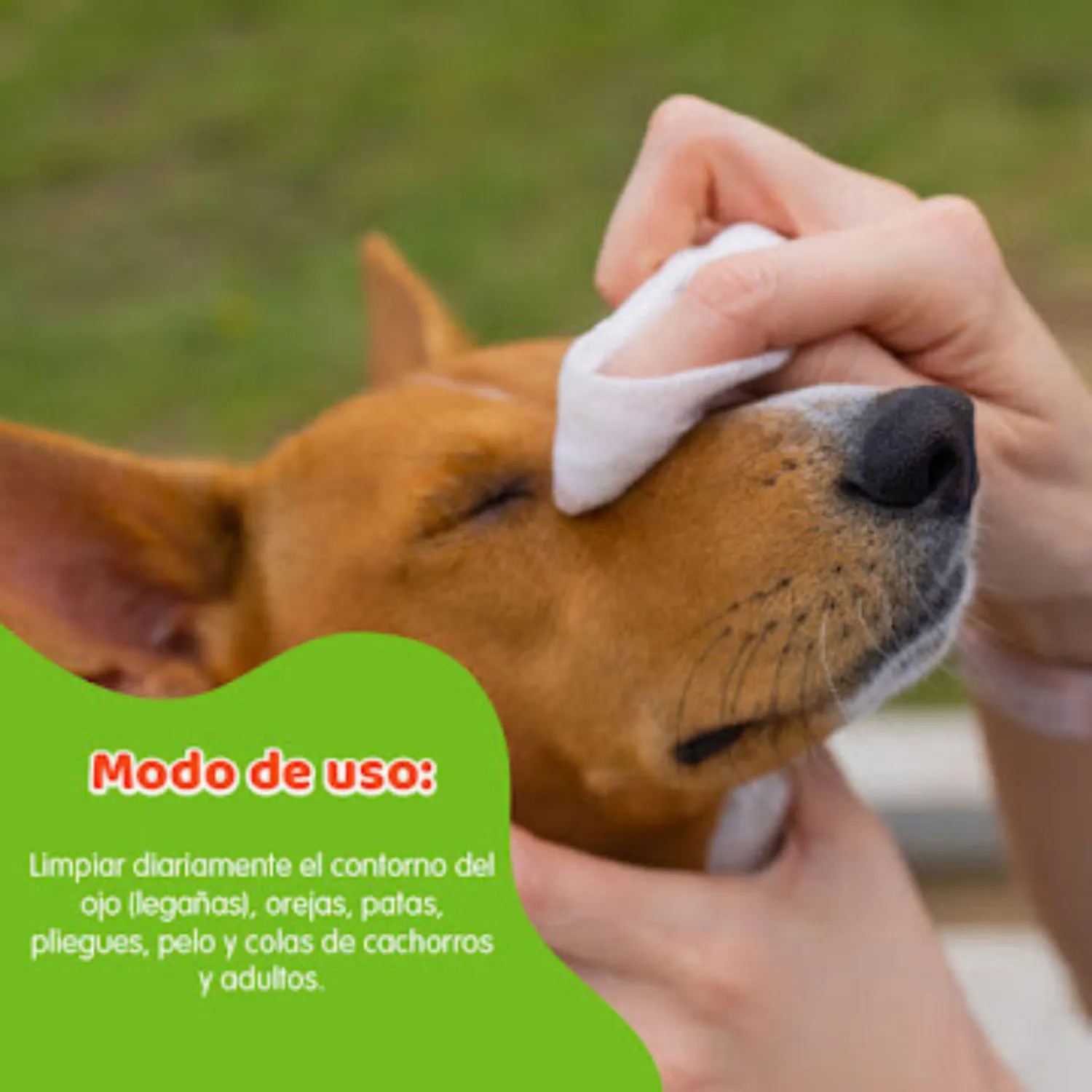 Paños Húmedos Para  Mascota Original Petys x 10Und