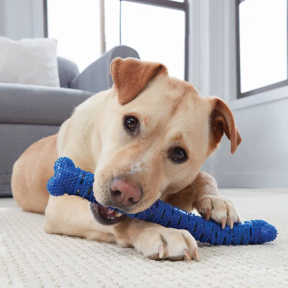 Cepillo De Dientes Para Perro Tvnovedades