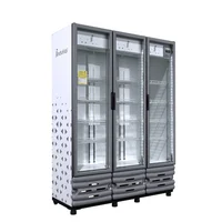 Vitrina Vertical 1132 Litros