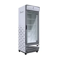 Congelador Vertical 450 Litros
