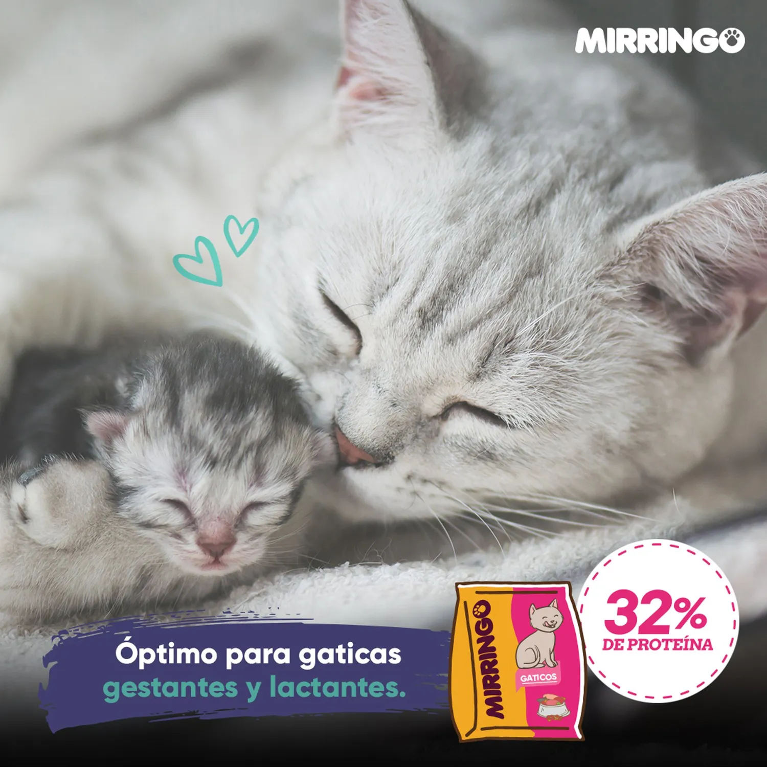 Comida Seca Para Gatos Mirringo 1kg Mirringo 10