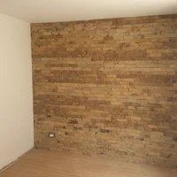 Pared Piedra Natural Color Oro Narciso 5X15Cm Cj1M2