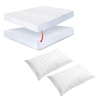 Combo Protector De Colchón Antifluido Semidoble + 2 Almohadas