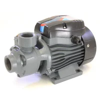 Electrobomba Periférica 0.7hp 110v 1pgx1pg