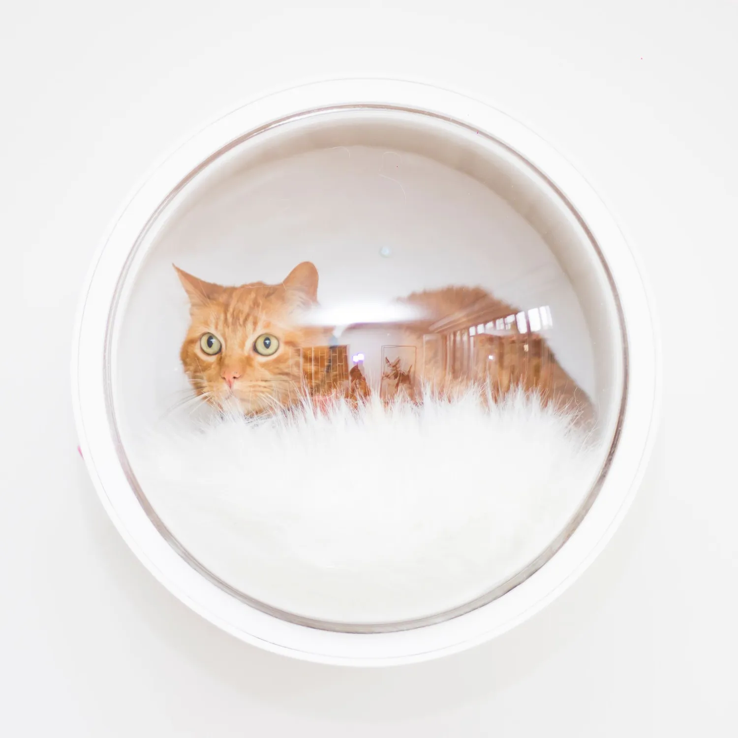 Casa Para Gatos Flotante 47X42X42Cm Pequeño Blanco