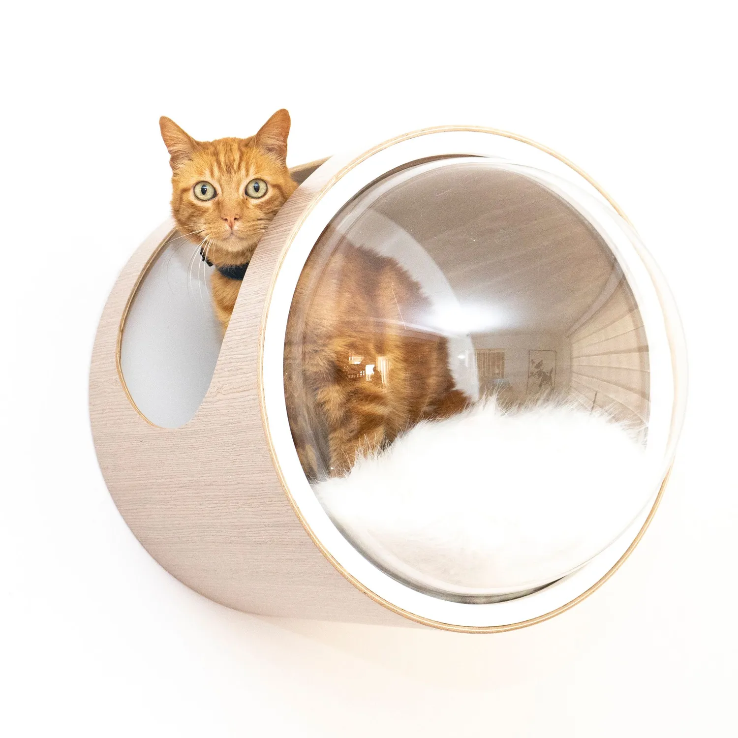 Casa Flotante para Gato Pequeña 47x42x42Cm Gris Plata