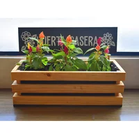 Huerta Madera Rectangular Casera 24x35x55cm Pino