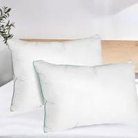 Set de 2 Almohada Sesgo Color 50x70 cm