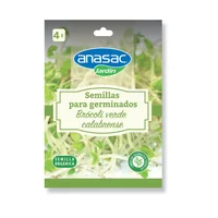 Semillas Germinados Brócoli Verde x4 Gramos