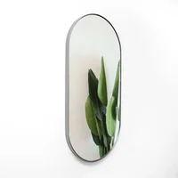 Espejo Ovalo Syd Ancho 50 cm Alto  100 cm Plat 4 cm Plata