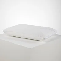 Almohada 60x40x12 Ice Memory Distrihogar