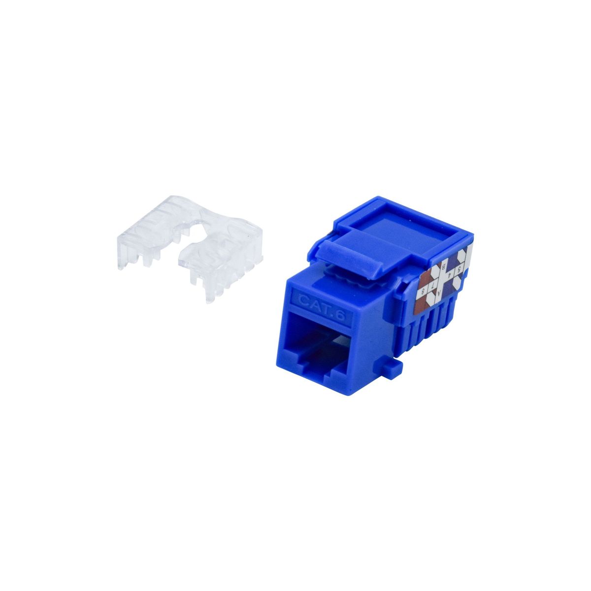 DAIRU - Jack Rj-45 Para Incrustar Categoria 6 Azul
