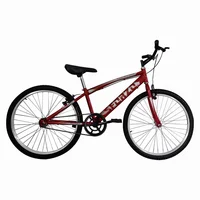 Bicicleta Infantil Sforzo R24 Talla S Suspensión Mecánica Sin Cambios Rojo