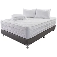 Combo Colchón Lumbar Doble Pillow Firme 140x190