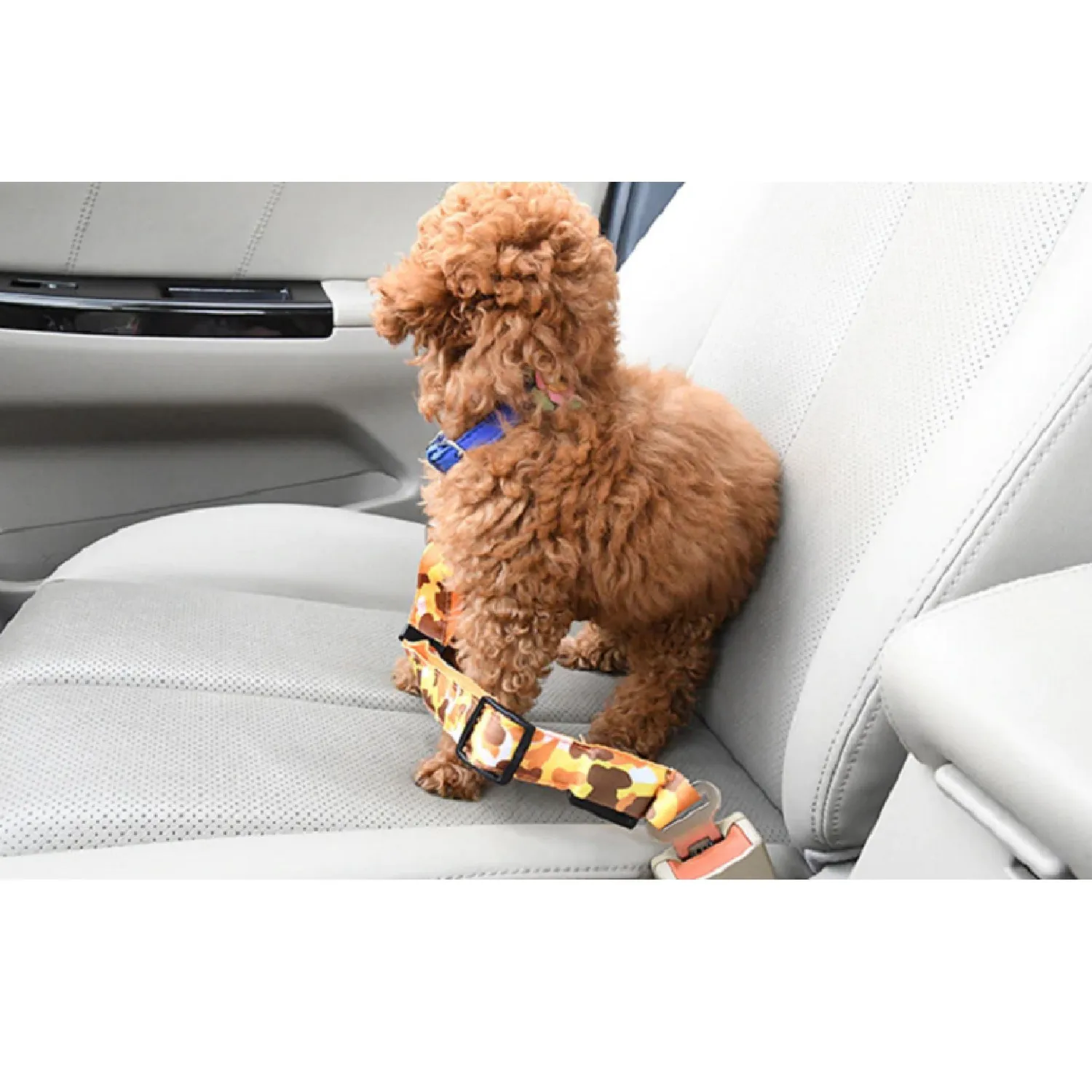 Correa Cinturón Carro Para Mascotas Perduoutlet Verde 5
