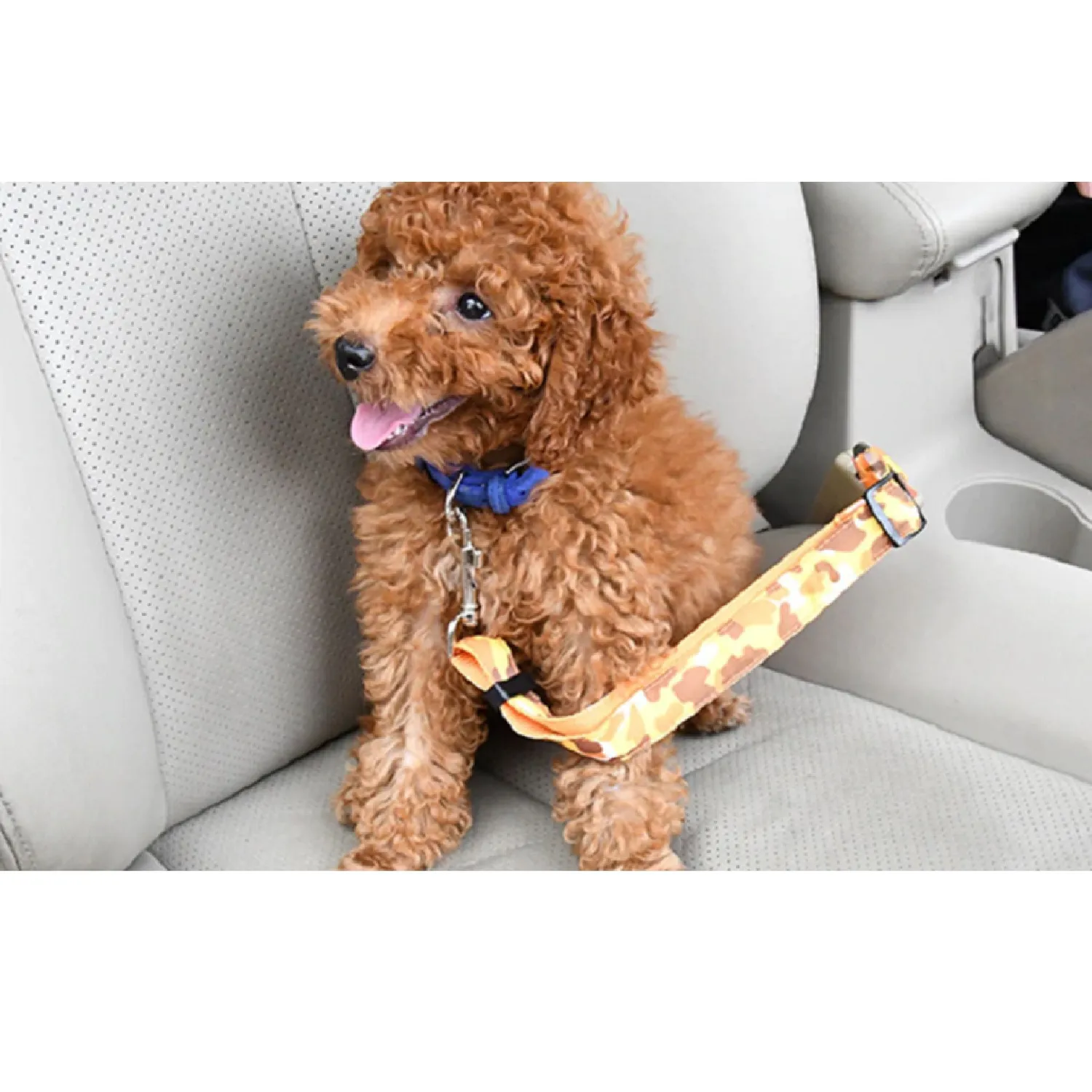 Correa Cinturón Carro Para Mascotas Perduoutlet Azul 4