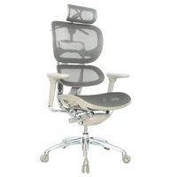 Silla De Escritorio Ergonómica Negro Ekonomodo Colombia Lujo