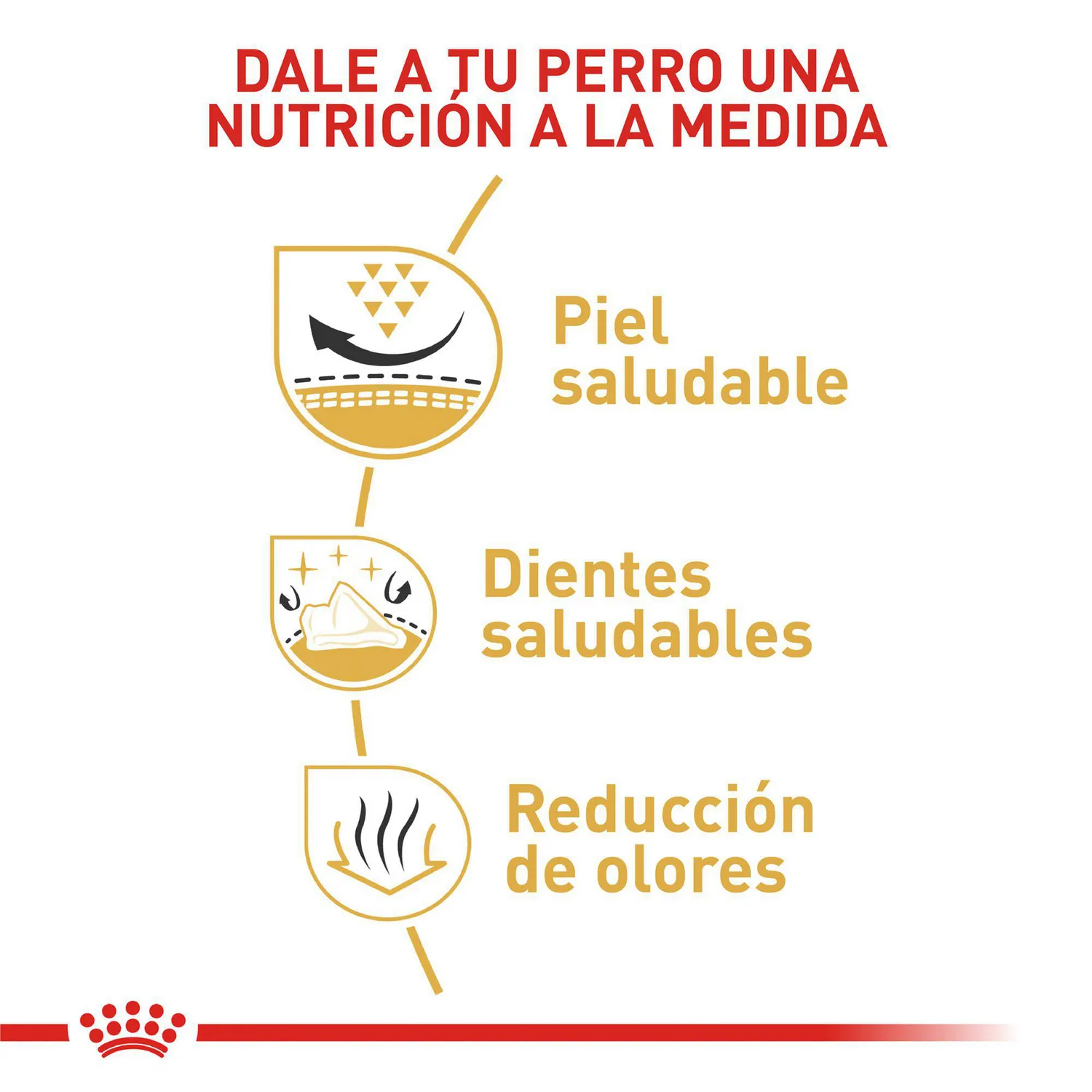 Comida Seca Para Perro Raza Pomerania Adulto Royal Canin 1.5 Kg