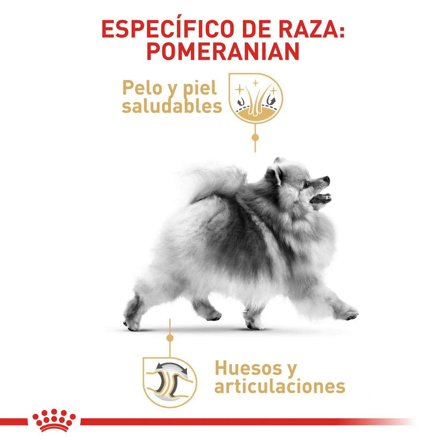 Comida Seca Para Perro Raza Pomerania Adulto Royal Canin 1.5 Kg 4