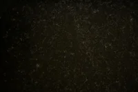 Mesón Granito Natural Crema Marfil 190 cm X 62 cm