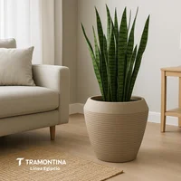 Matera Plástica Cónica Egipcio 54Cm Arena