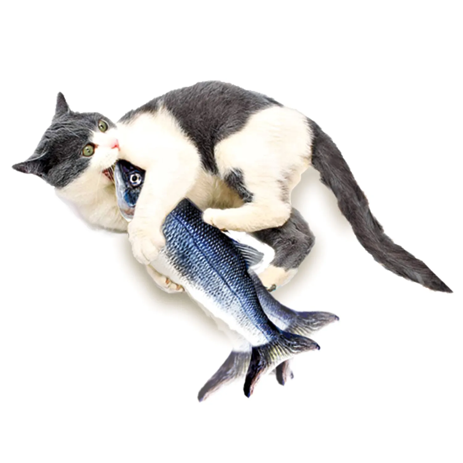 Juguete Para Gatos Flippity Fish Tvnovedades