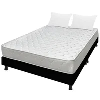 Colchón Queen 160X190 Espumado Macizo + Base Cama Dividida + 2 Almohadas