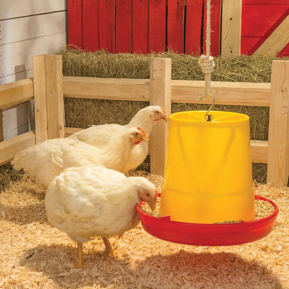 Comedero Para Aves Antidesperdicio 12kg Estra Amarillo