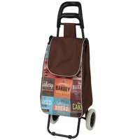 Carrito Mandado 35x28x95cm
