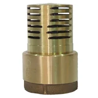Valvula De Pie Bronce Canast. Metalica 1-1/4pg