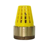 Valvula De Pie Bronce Canast Plastica 1-1/4pg