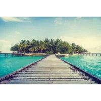 Fotomural Playa Tropical S 100x62cm