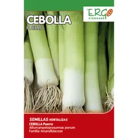 Semilla Cebolla Puerro Carentan 1 gramo