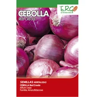 Semilla Cebolla Roja 1 Gramo