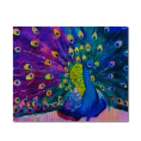 Kit de Pintura: Cuadro para Pintar por Números 40x50 Pavo Real