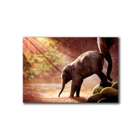 Cuadro Elefante Pequeño M 45X70 Cm