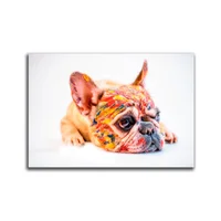 Cuadro Perro Color Xl 115X78 Cm