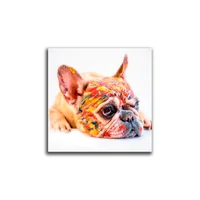 Cuadro Perro Color L 60X60 Cm