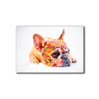 Cuadro Perro Color M 45X70 Cm