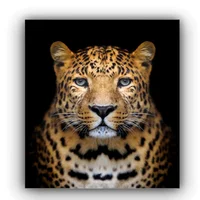 Cuadro Cara Leopardo Rafe 70X50