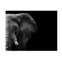 Cuadro Cara De Elefante 180X90