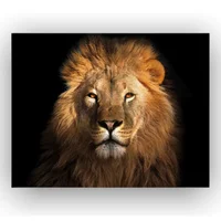 Cuadro Cara León Rafe 50X70