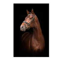 Cuadro Cara Caballo Rafe 120X180