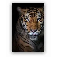 Cuadro Cara Tigre Rafe 120X180