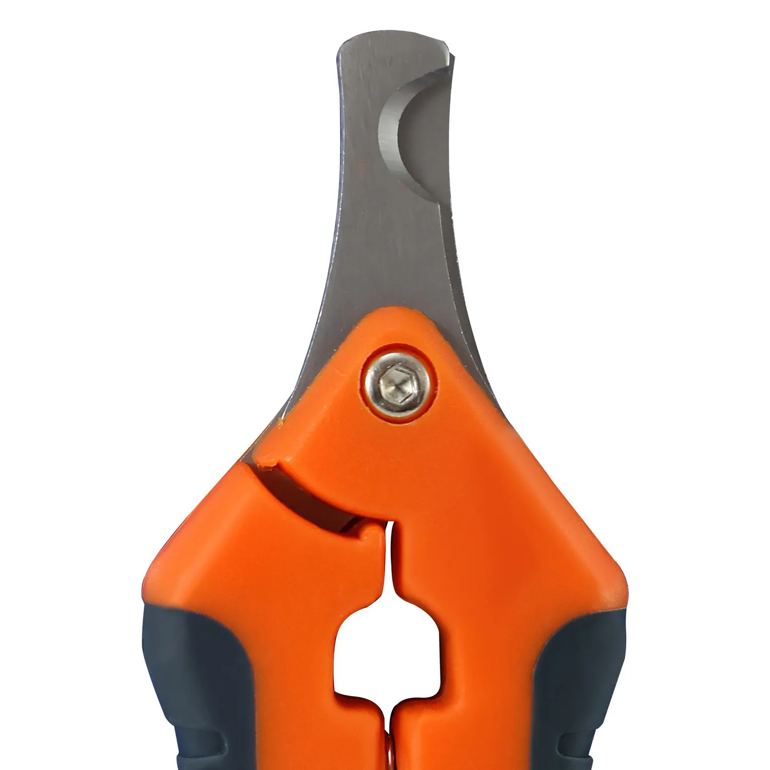 Tijera Para Perro Discover 51/4" 3