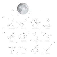Vinilo De Signos Zodiacales 150X150Cm