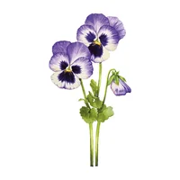 Vinilo Decorativo De Flores Rosadas S 54X100Cm