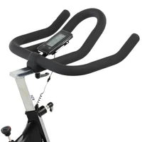 Bicicleta Spinning Vicenza Con Ciclocomputador Capacidad 120 Kg Color Rojo