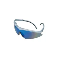 Gafas De Seguridad Regulables Essential Euro